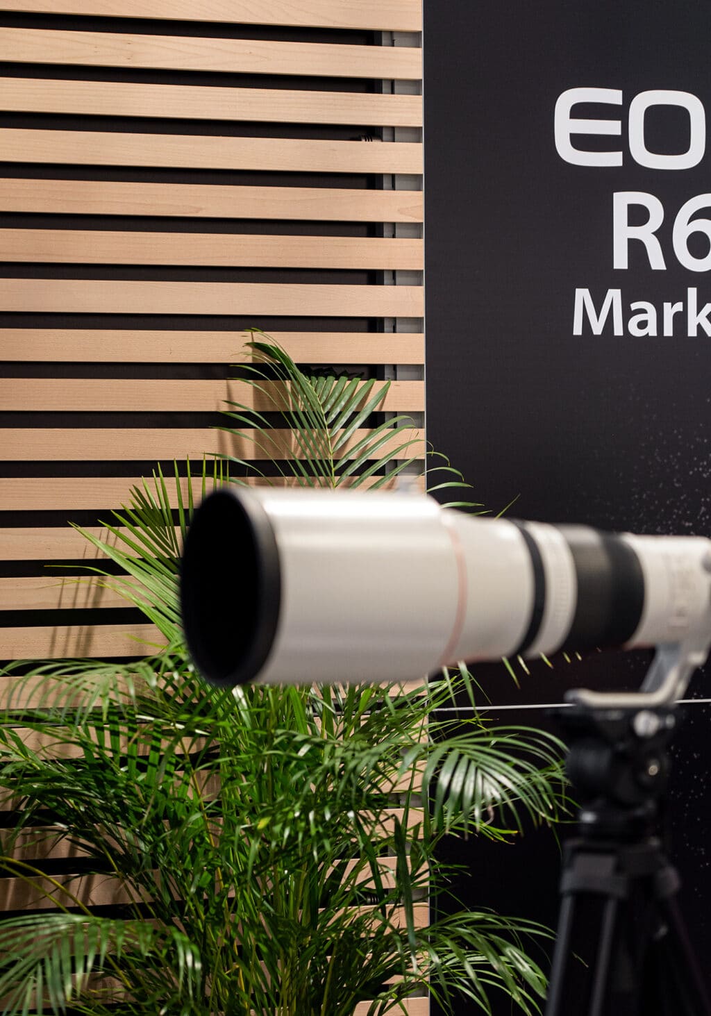 Stoisko targowe Canon — projekt i produkcja Clever Frame